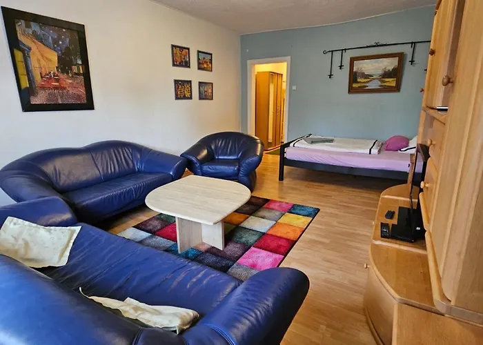 Lägenhet Eigener Eingang, 1-zimmer Mit Bett Und Grosse Wohnkueche Mit Schlafcouch *