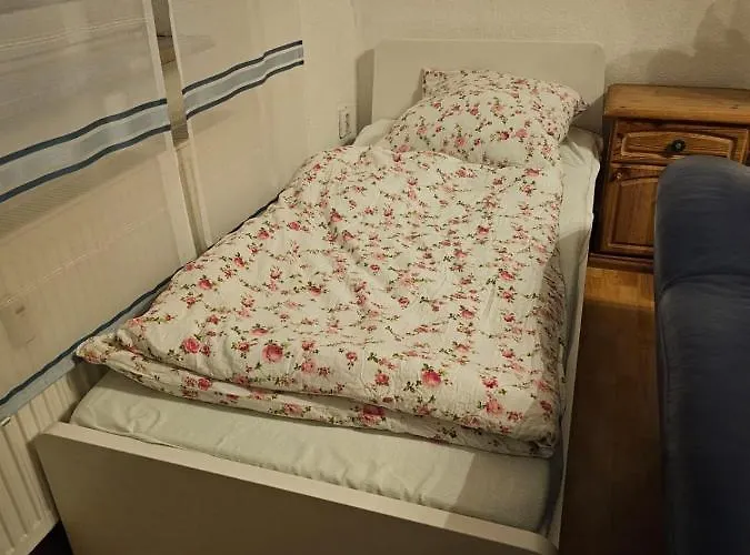 Lägenhet Eigener Eingang, 1-zimmer Mit Bett Und Grosse Wohnkueche Mit Schlafcouch *